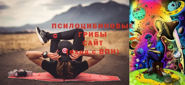 твердый Аркадак